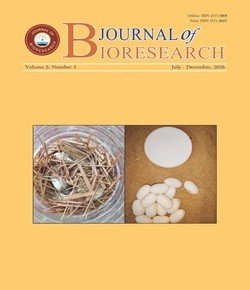 Current Issue Cover